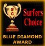 Surfers Choice Award!